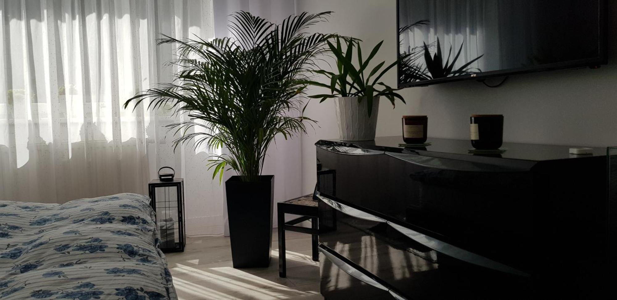 Apartament I Love Gdynia Zewnętrze zdjęcie